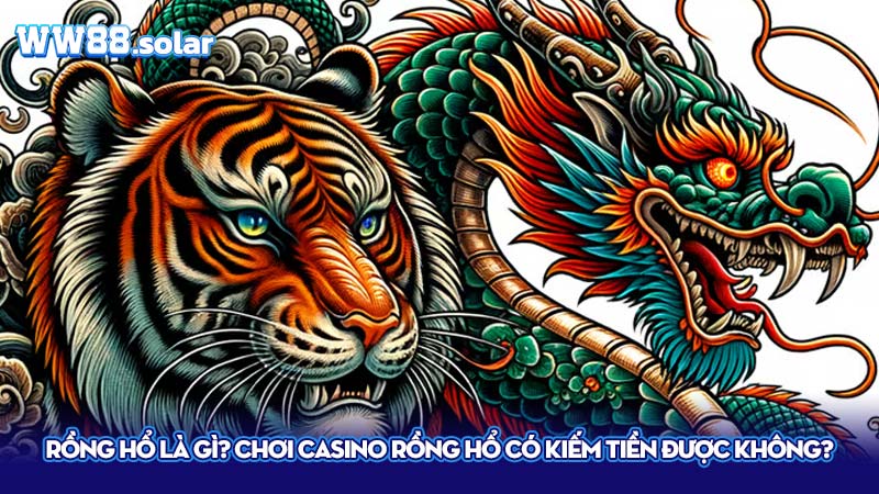 Rồng hổ là gì?